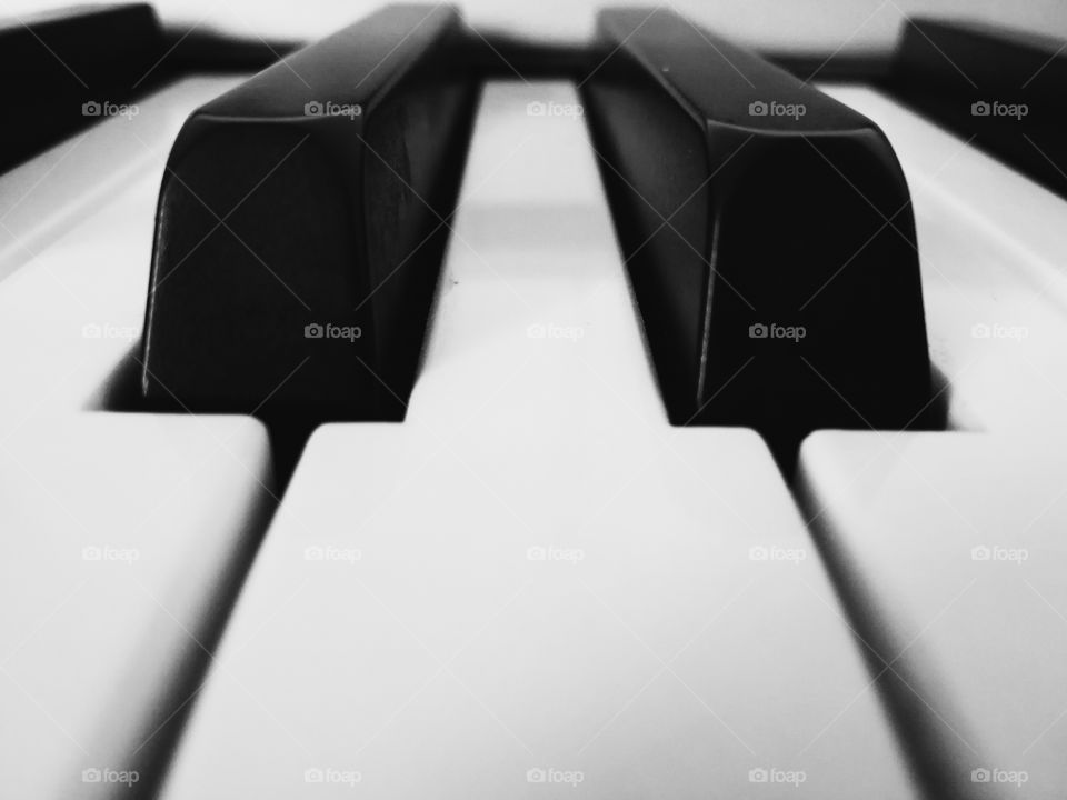Close-up of a piano keys