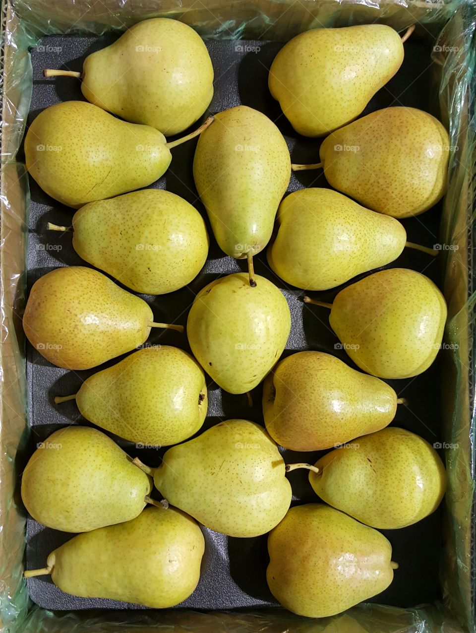 High angle view of pears