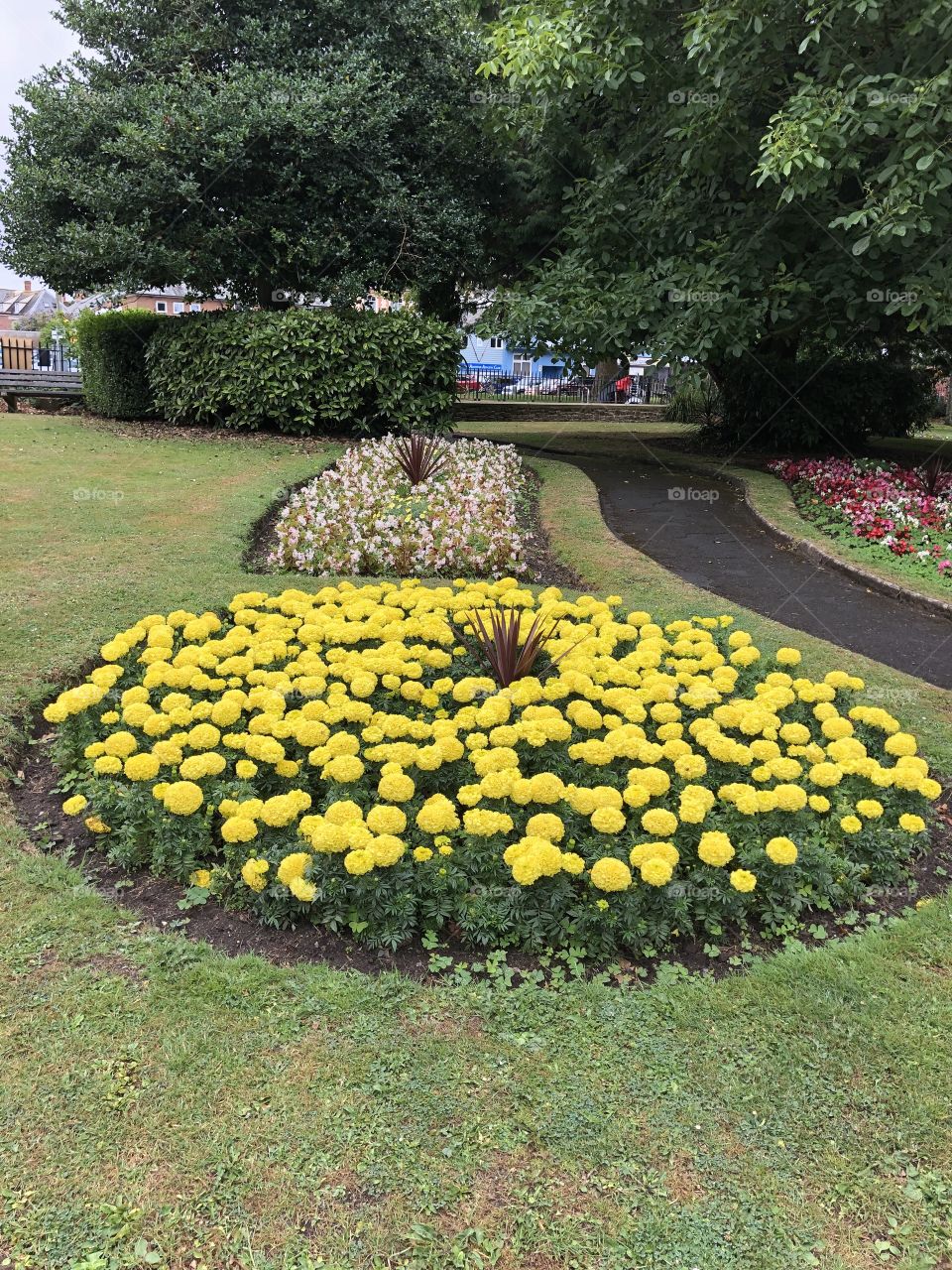 Another great display of garden delight, a huge credit must go to the gardeners, responsible for this park.