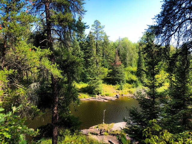 Nature