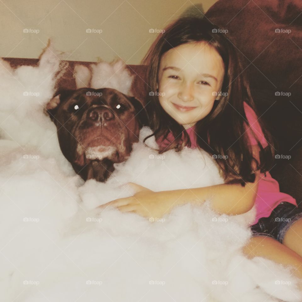 Ridiculous dog. Dog laying in pillow stuffing, little girl loving him anyway. 