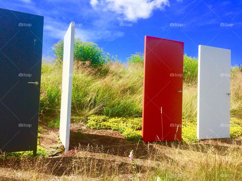 Doors as decor in nature 