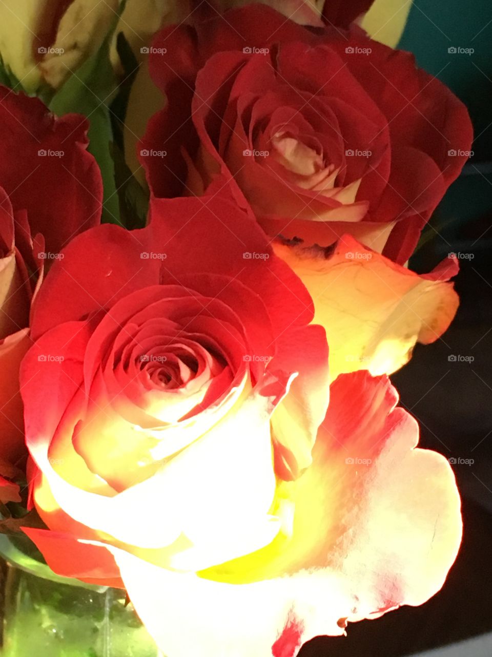 Fire roses