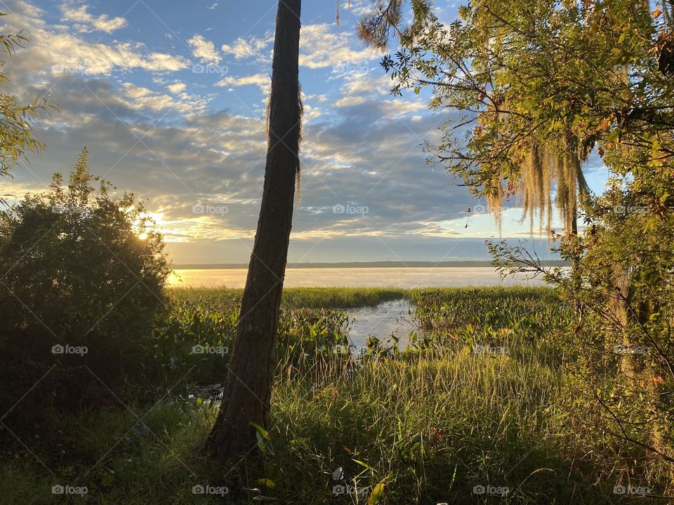 Ocala National Forest is truly a magical place. Watch out for gators tho!! 