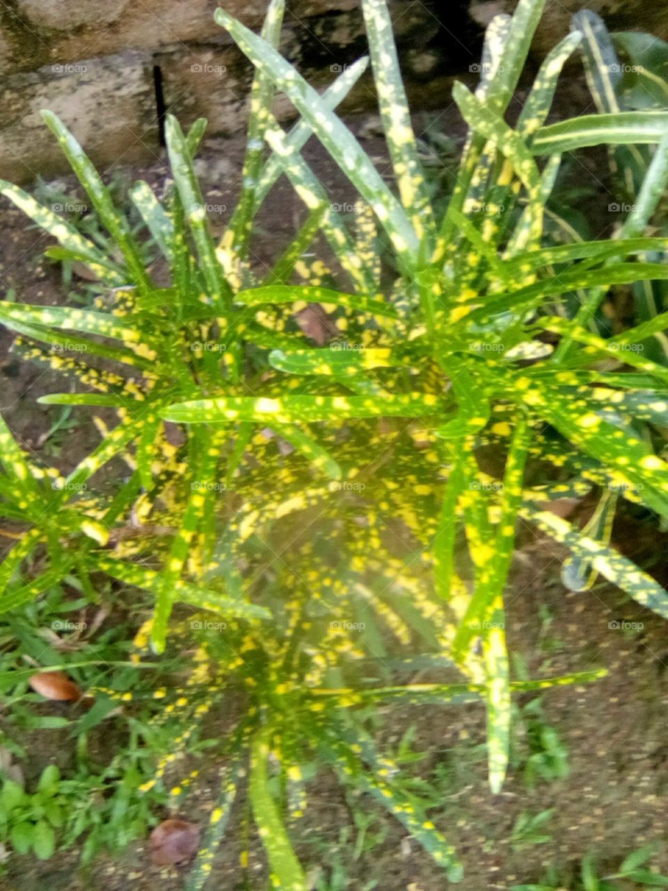 nature is our best friend an we should never neglect nature we should all ways take care of nature an nature Will all way take care of us