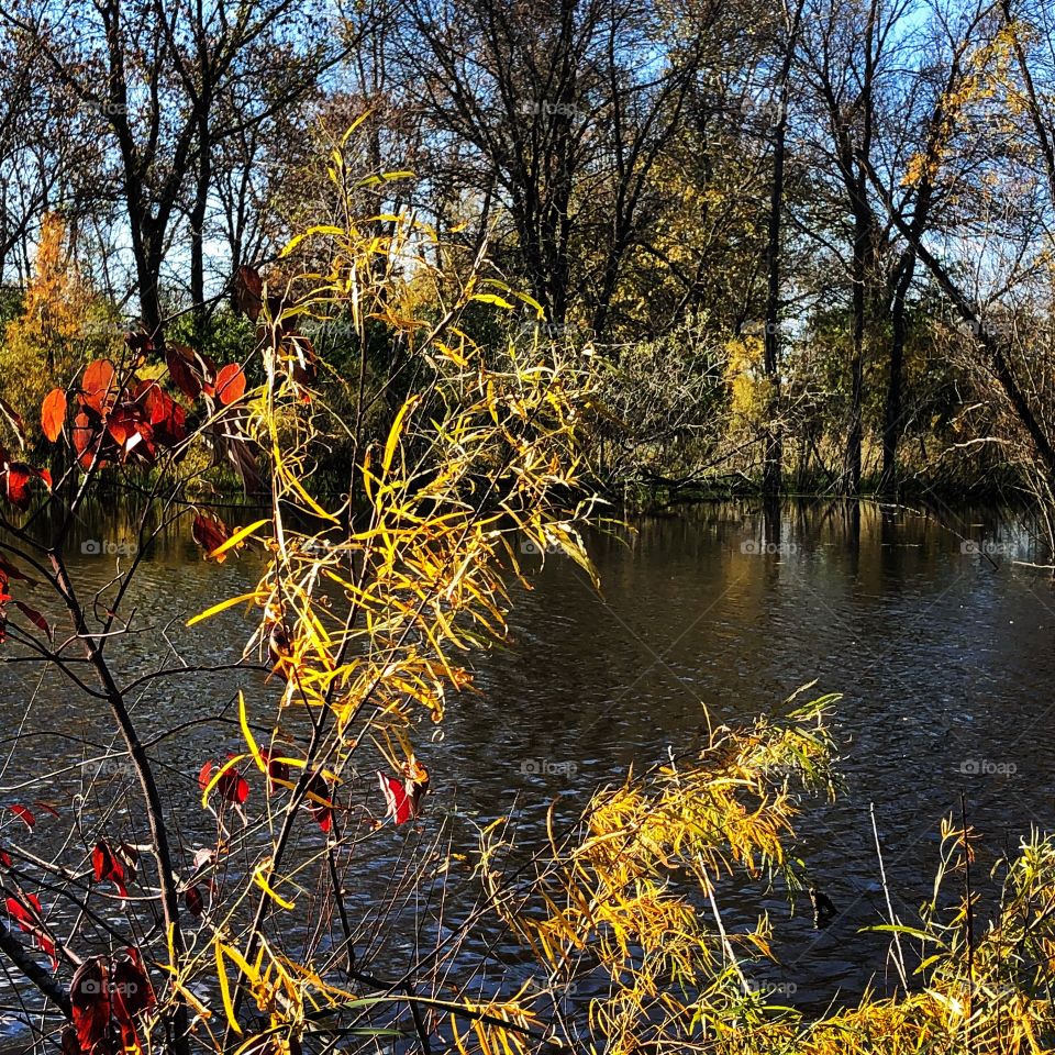 Fall on the water 