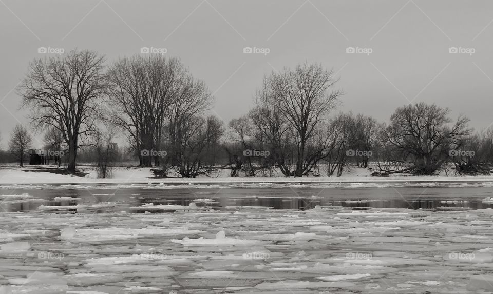 St Lawrence river