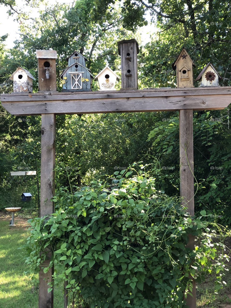 Bird House Charm