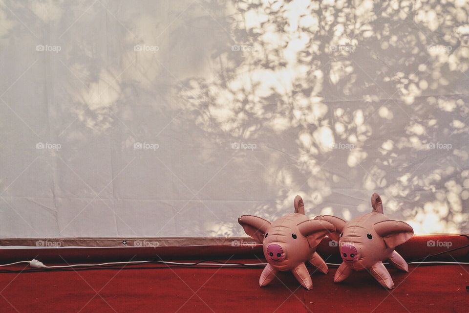 A pair of pigs at party 