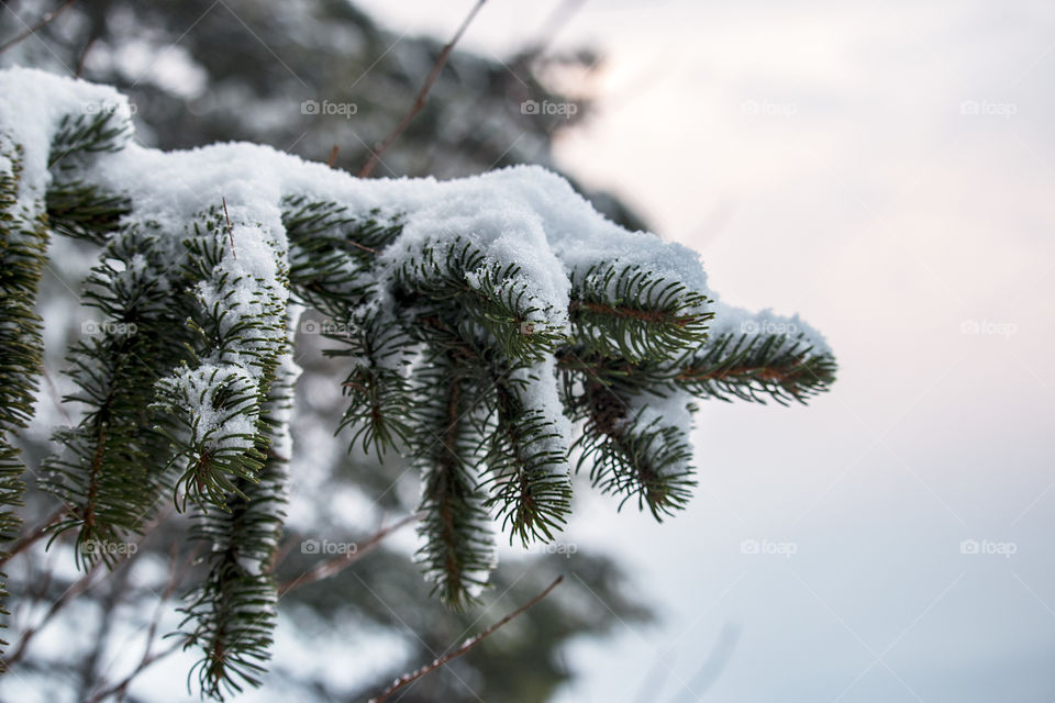 Winter in Massachusetts 