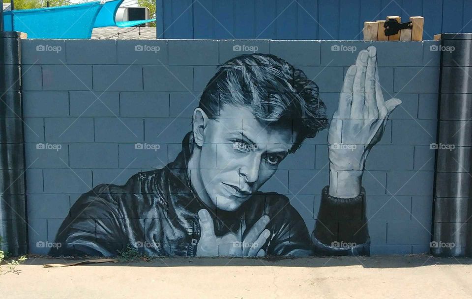 David Bowie street art (memorial) in Phoenix Arizona by artist Maggie Keane.       R.I.P.