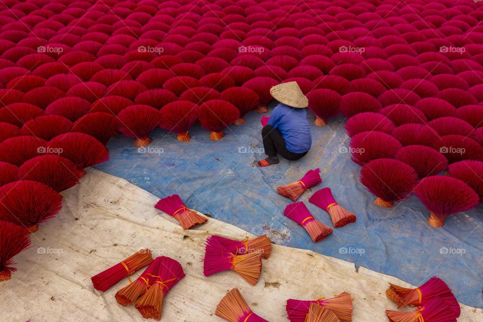 Drying incense sticks in Quang Phu Cau village,  Ung Hoa district,  Ha Noi,Vietnam