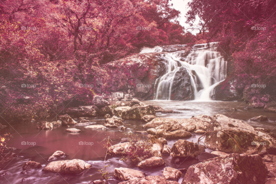 Pink landscape - Waterfall