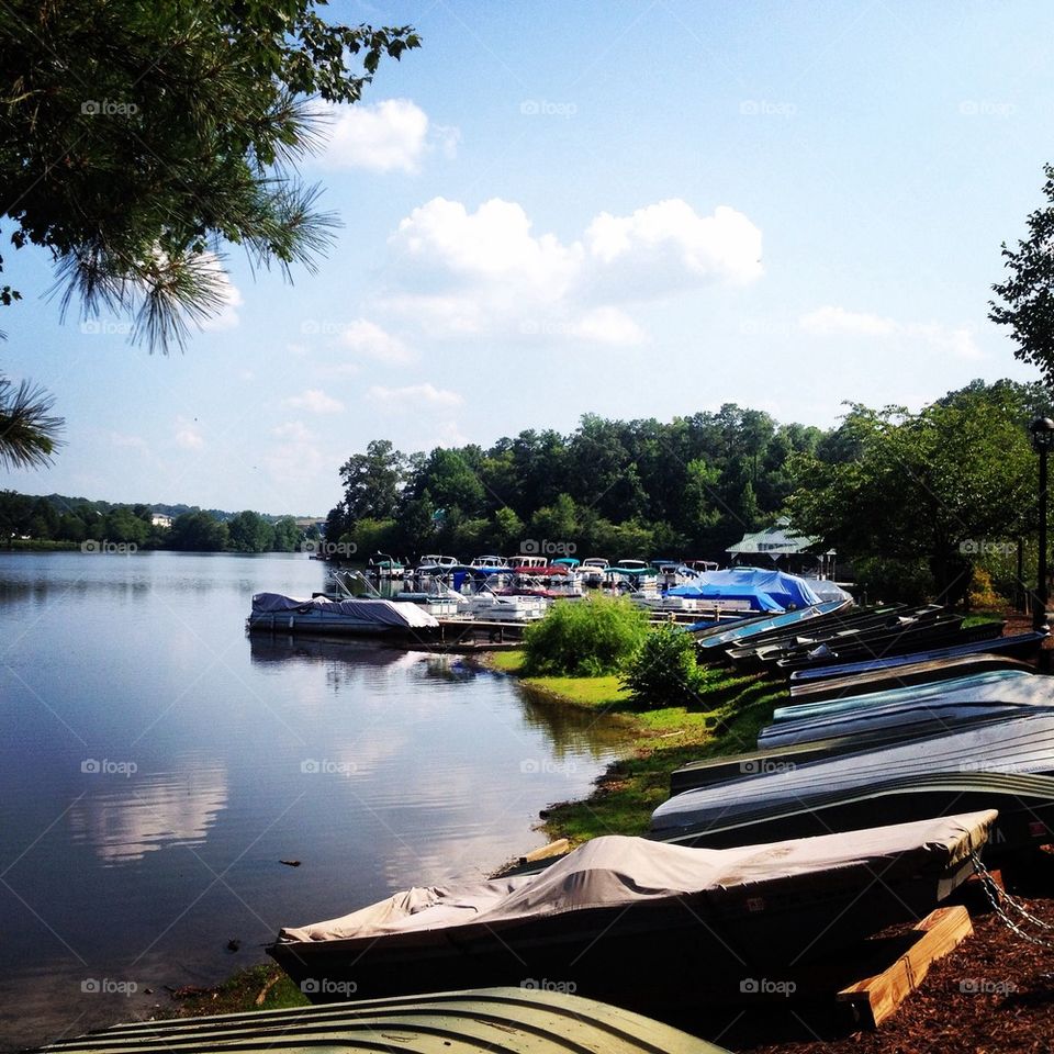 On the lake