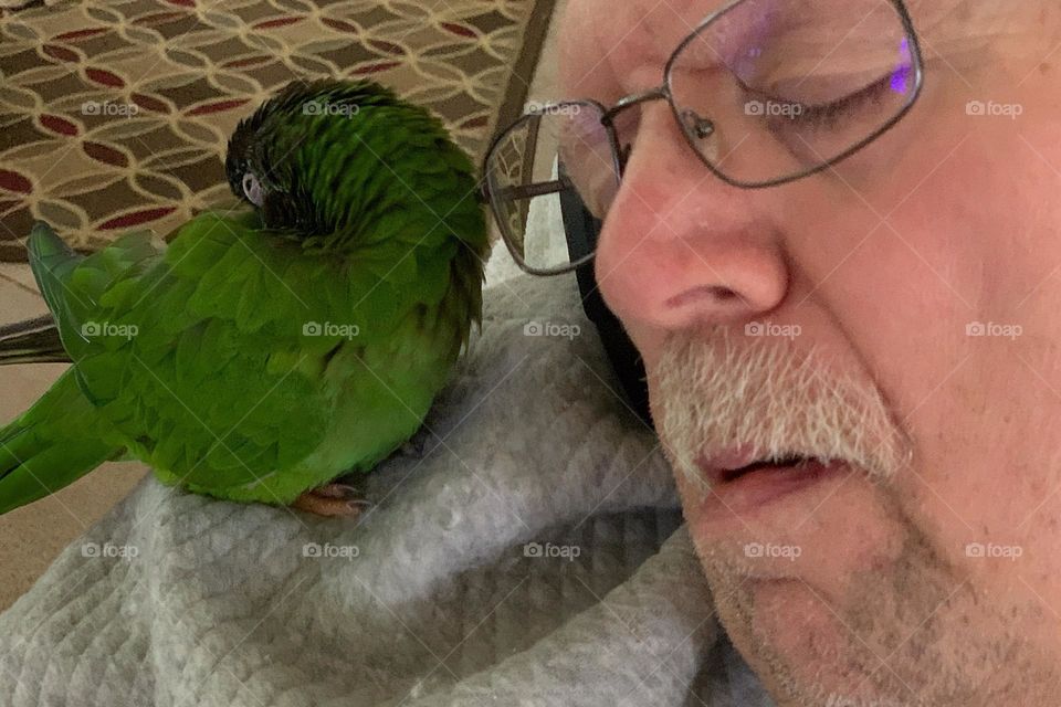 Nap time for Grandpa and his adorable Green Conure Parrot.