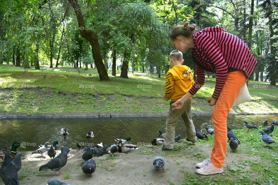 children and birds in the summer city park, family time