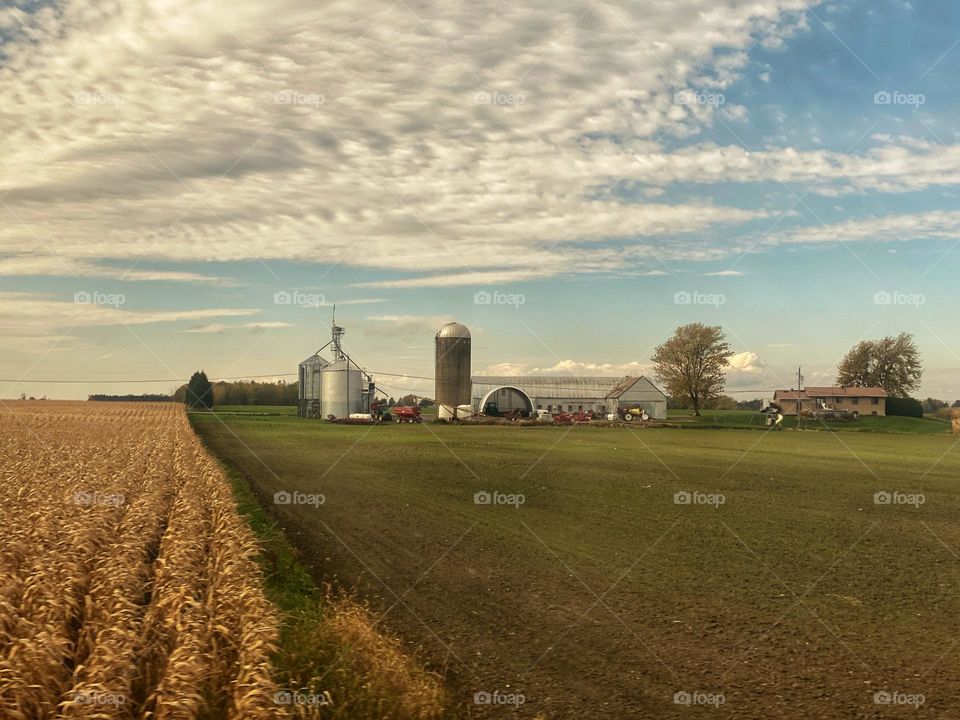 A farm in southern Quebec, Canada
