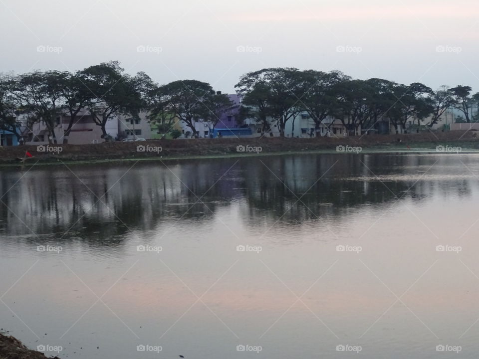 Water, River, Tree, Landscape, Reflection