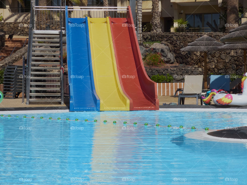 three-colored toban in a pool without people