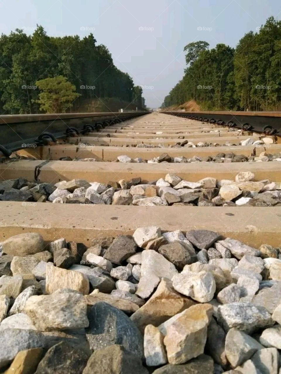 A most beautiful and attractive view of the railway track.