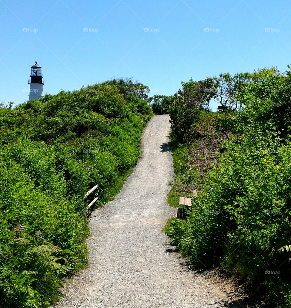 Pathway to Light