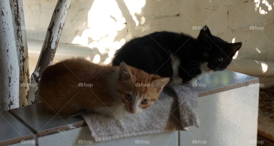 greece άνω λιόσια (ano liosia) άνω λιόσια by vrahidis