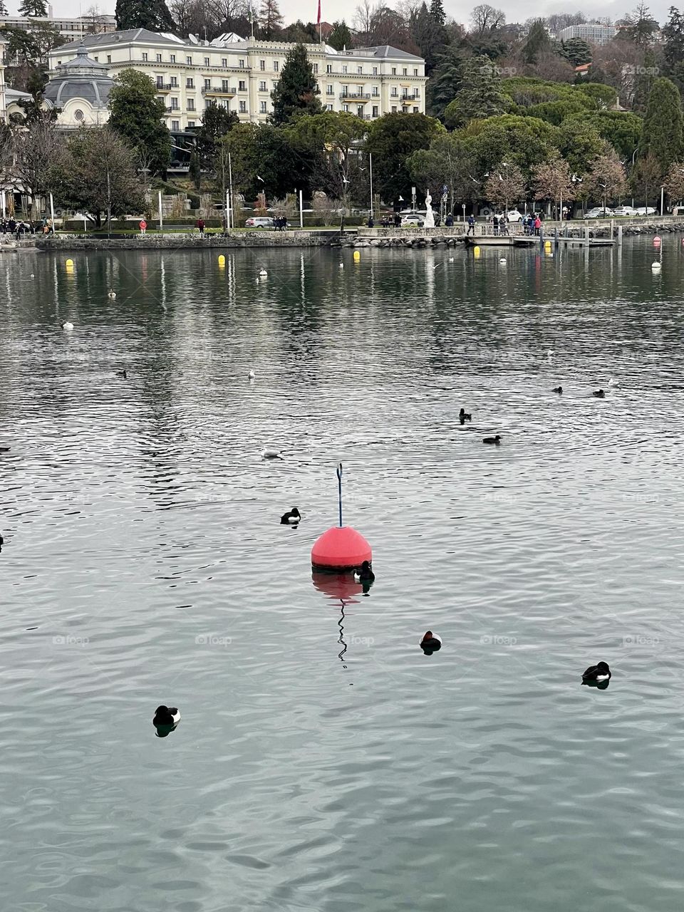 Red buoy on Leman lake, Lausanne, Ouchy, Switzerland 