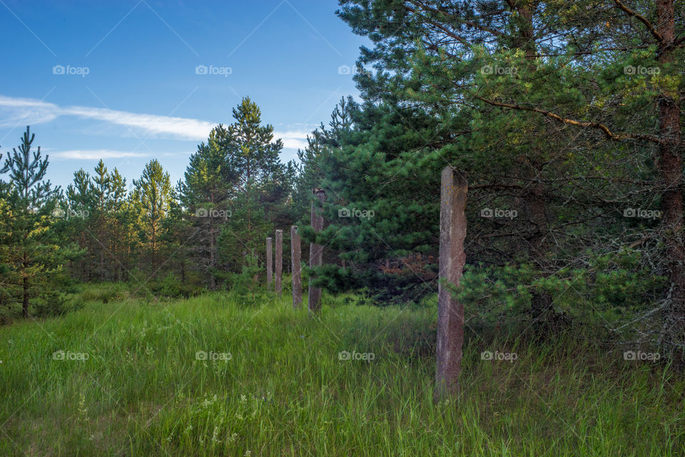 fence in the nature, abandoned military base