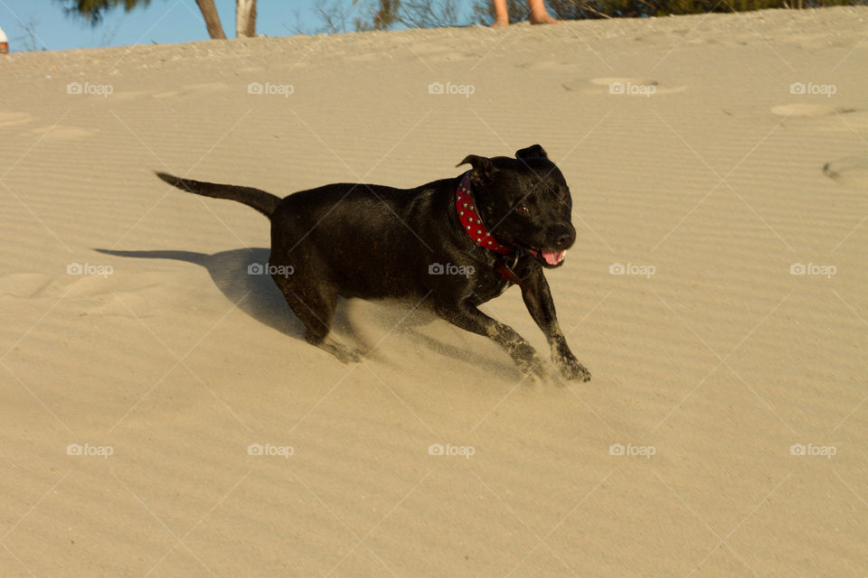 beach