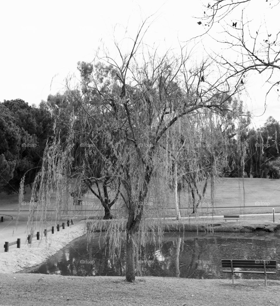 View at a local park 