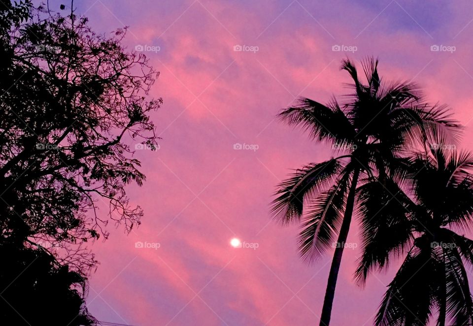 Pink sunset in Montezuma