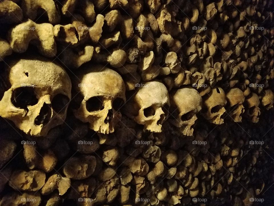 Skull, Frame, Bone, Cranium, Scary