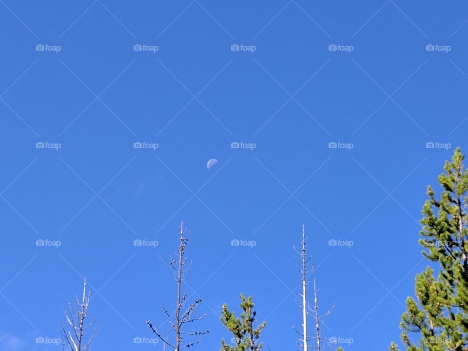 mid morning moon