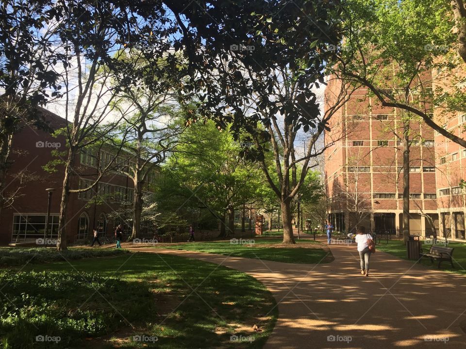 Vanderbilt university in Nashville 