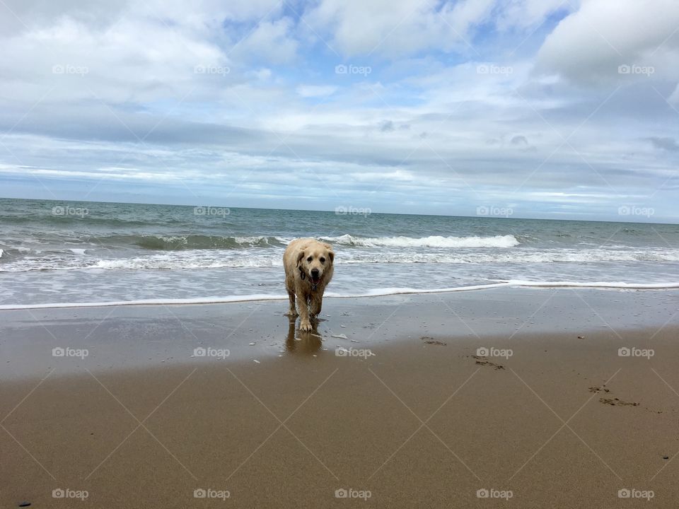 Beach, Sand, Water, Surf, Sea