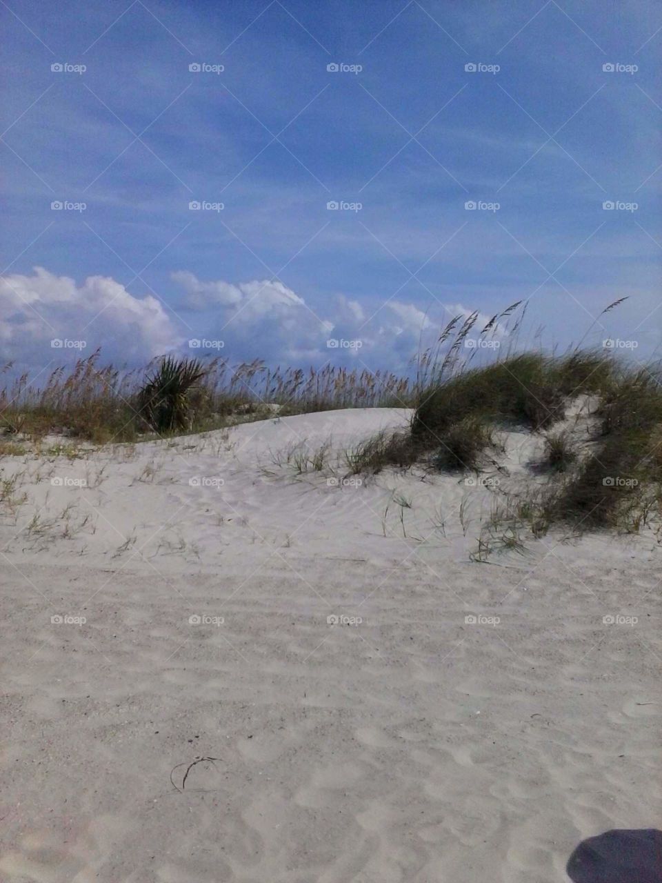 sand dunes on tybee
