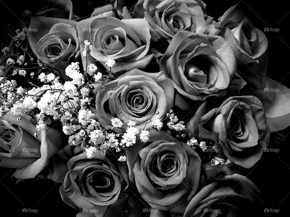 Black and White Roses