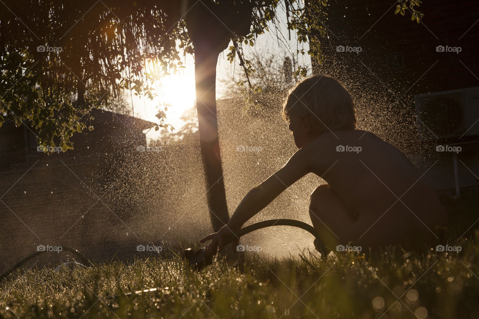 Sunset in the garden