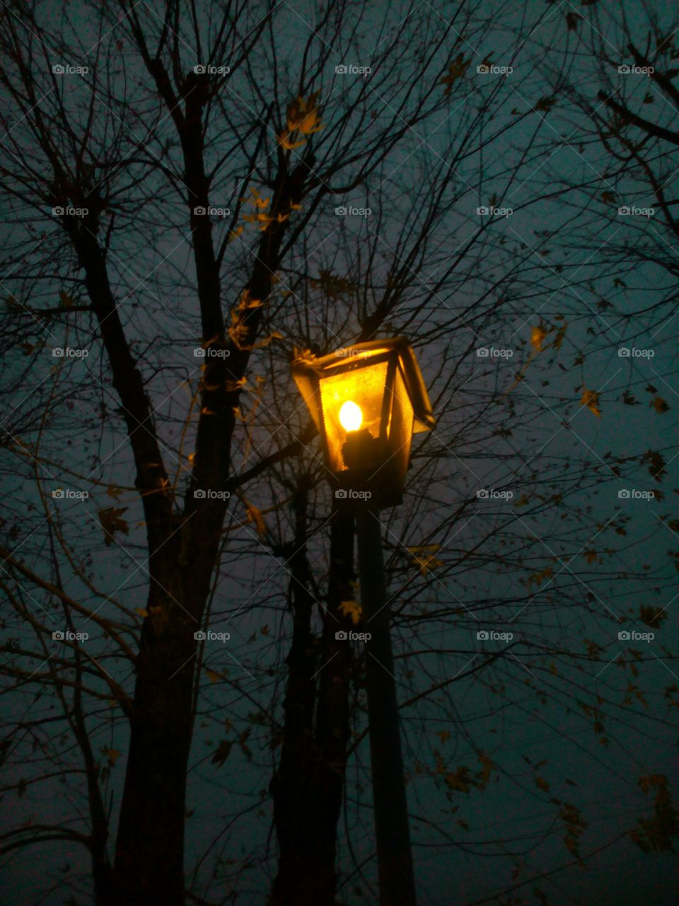 Lantern, Light, No Person, Lamp, Dark