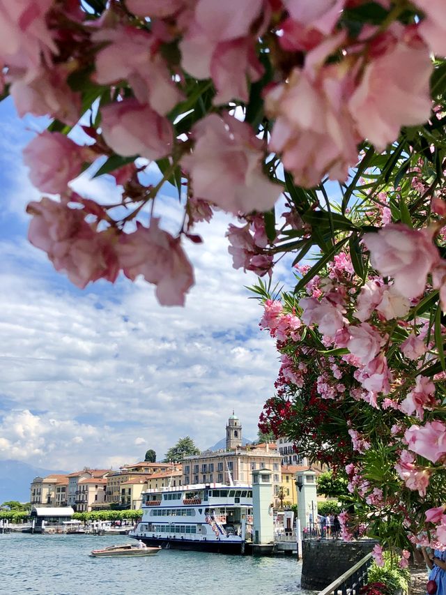 Bella bellagio