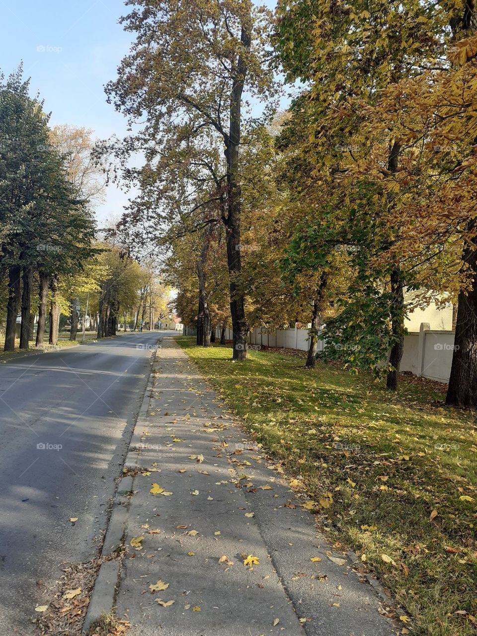 O.Vacieša iela. Agenskalns. Rīga