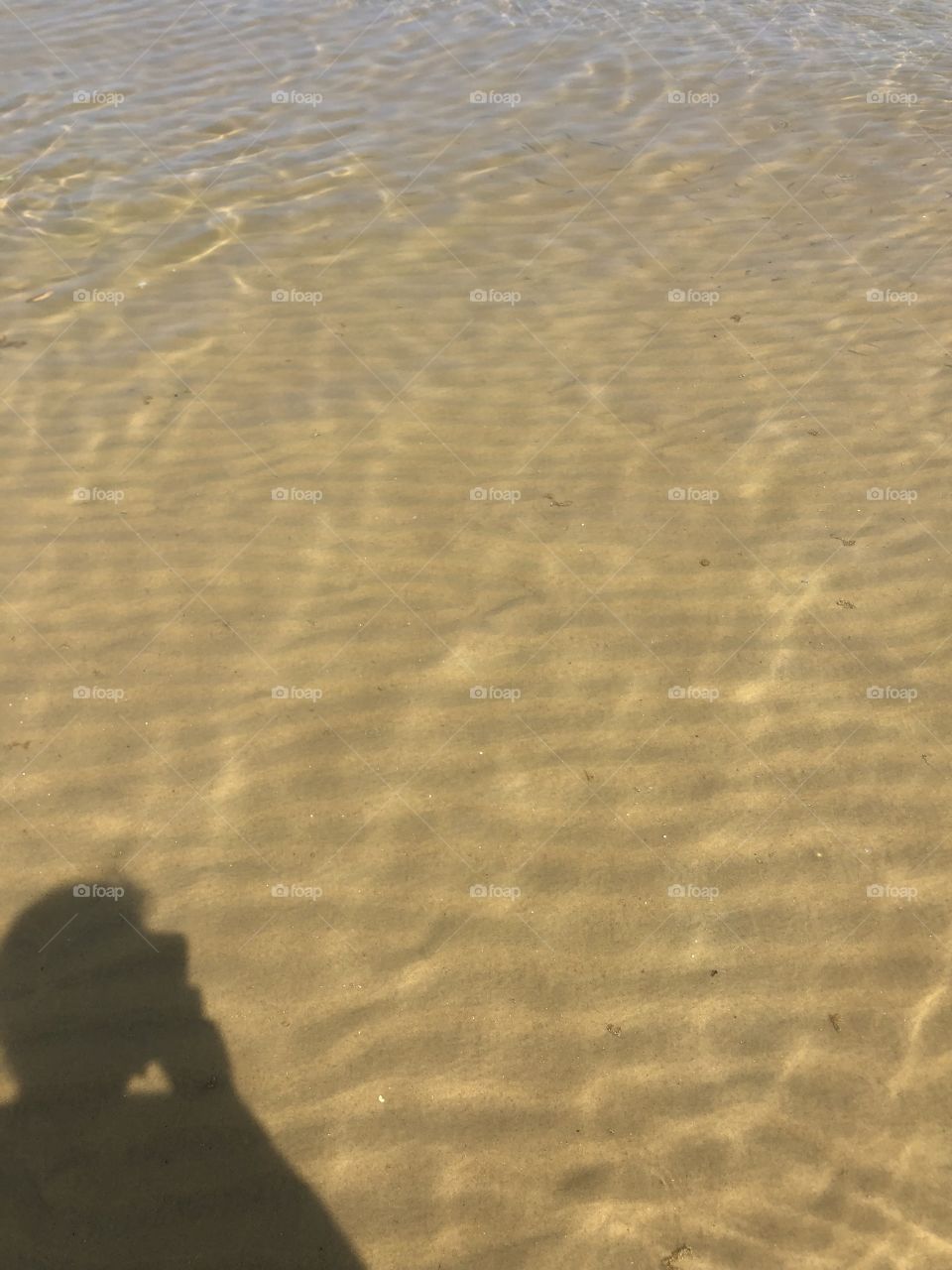 The clearest looking water in Cape Cod at low tide. 