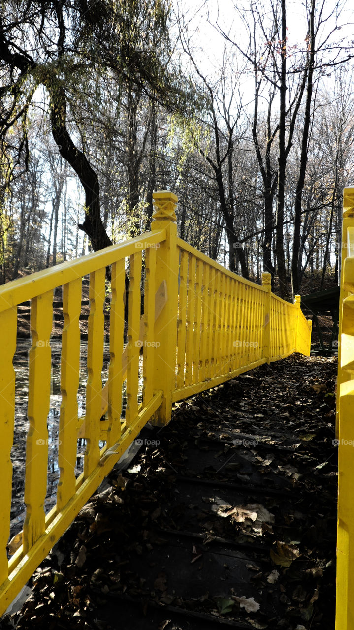 Wood, Tree, Park, Fence, Bridge