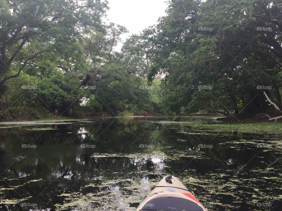 City park yak. Kayaking in City Park of New Orleans