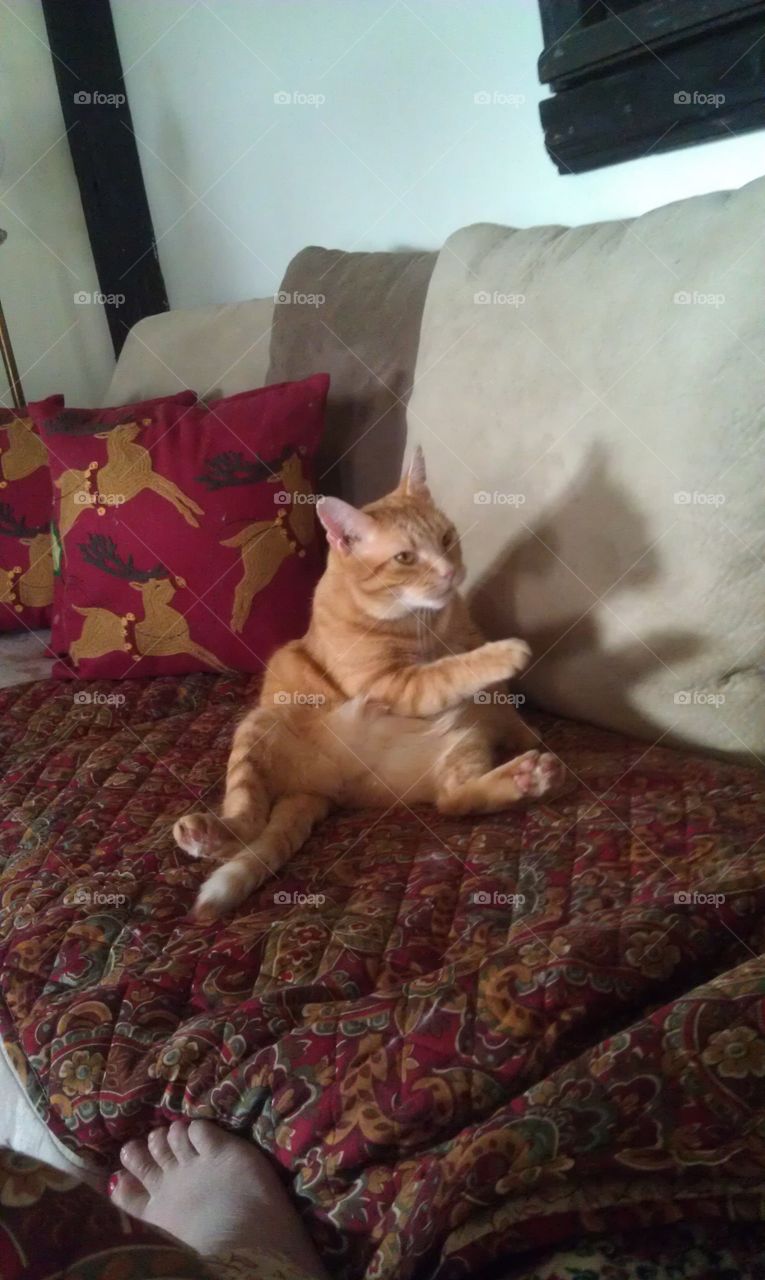 Hello. Finnegan  says hello