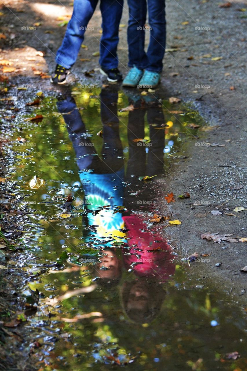 Puddle reflection 