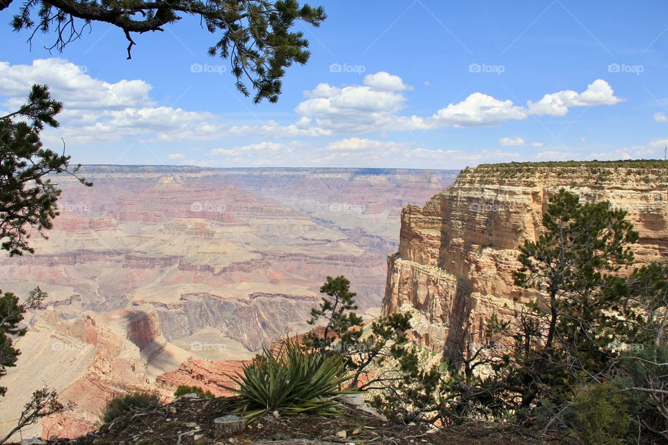 Grand Canyon 