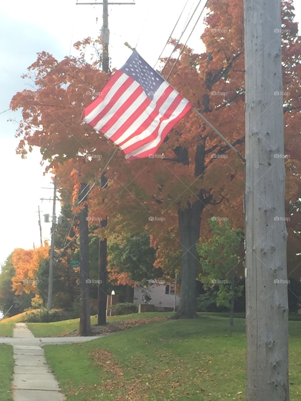 A flag with the fall leaves that is on my way to work just as a turn off onto the final stretch