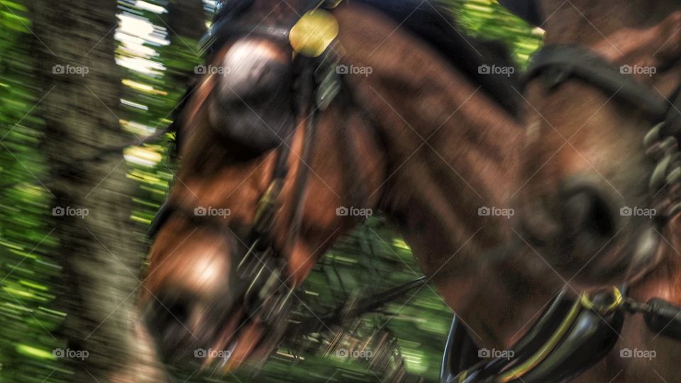Velocidad, tiro de caballos
