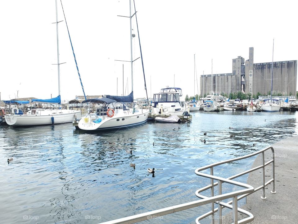 harbourfront  in summer time
